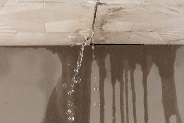 Professional Sewage Cleanup technician working in Francis Creek, WI